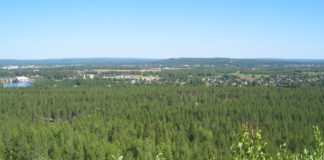 Sweden’s H2 Green Steel plans to raise $1.65 billion for Boden plant