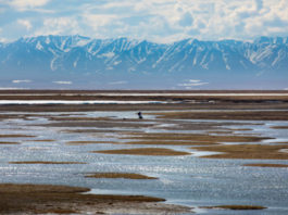 Alaska has more than half of America’s wetlands. A new ruling could change how they’re managed
