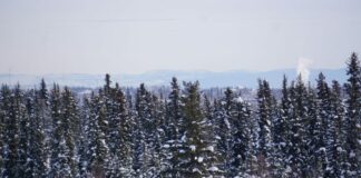 Alaska seeks more time to submit air-quality plan for particulate-plagued Fairbanks