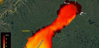 Heat wave in the Baltic Sea worries – “Can have devastating consequences”