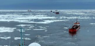 A month after they set out on Arctic voyage, two Russian oil tankers still battle with sea-ice