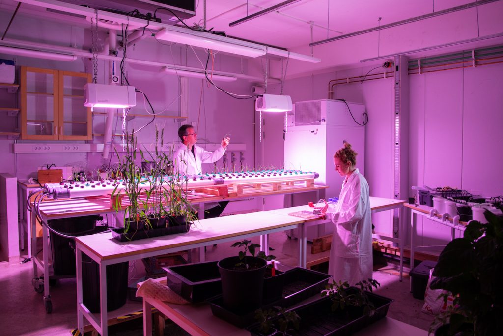 🇸🇪 OlsAro raises €2.5m seed round to expand AI-enabled climate smart crop breeding platform